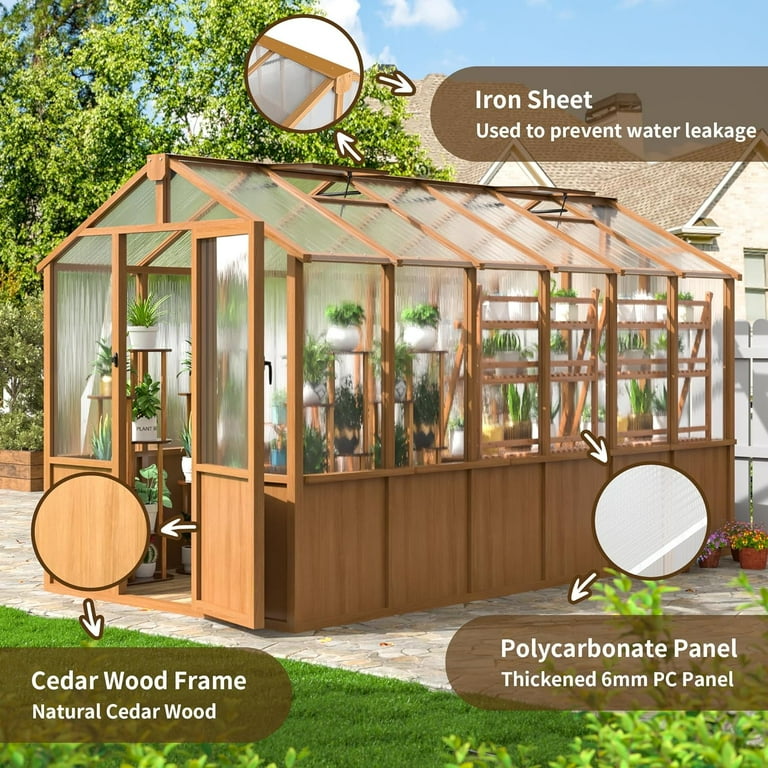 MUCHANT 6x12 FT Wooden Greenhouse for Outdoors, Walk-in Large