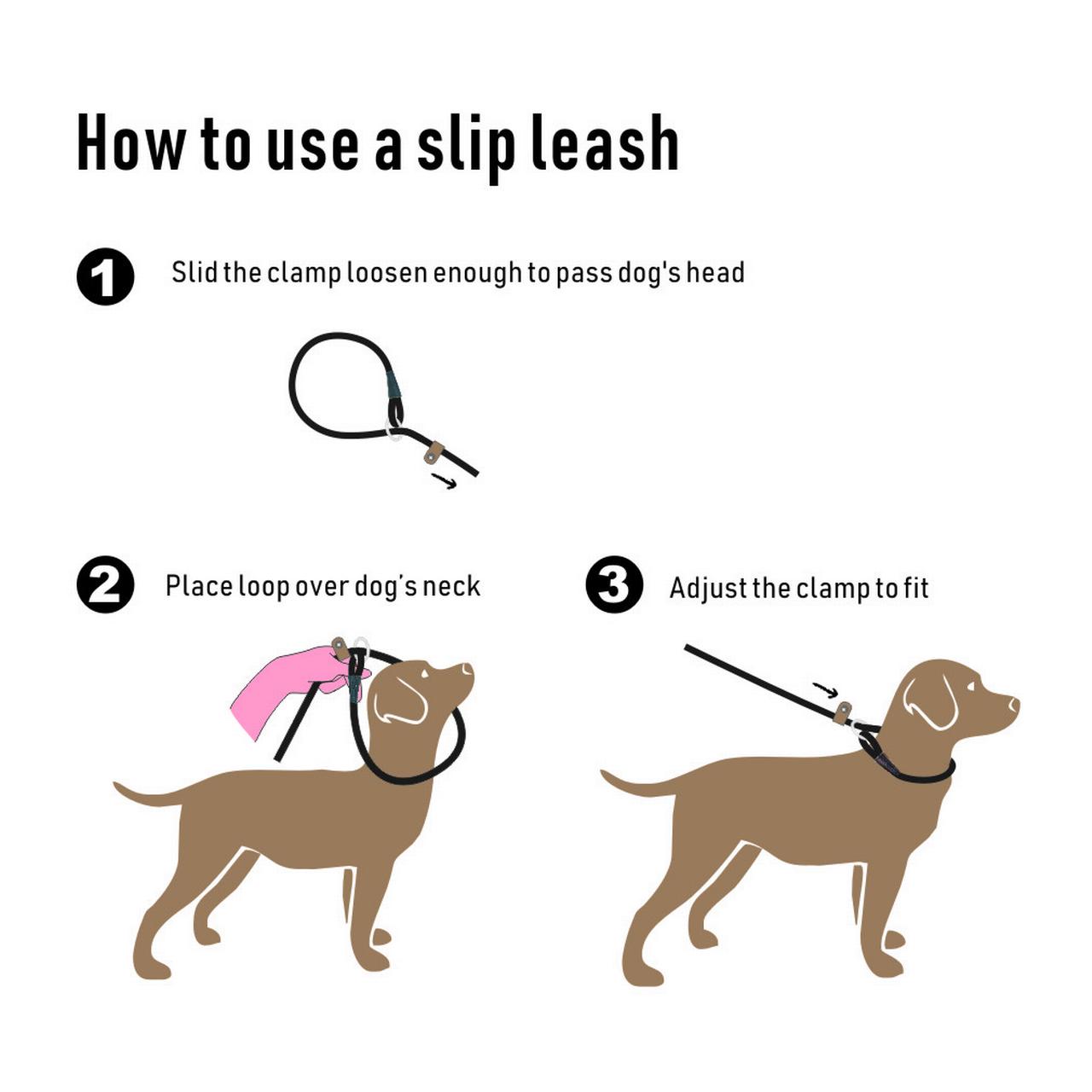 lynxking Slip Lead Dog Leash, 6ft, Purple photo 2