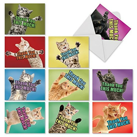 'M2368TYB CAT BIG THANKS' 10 Assorted Thank You Notecards Featuring Adorable and Loving Cats Offering to Give You a Hug with Envelopes by The Best Card