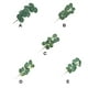 thumbnail image 2 of Hojas de eucalipto artificiales Advancent 20 piezas decoración verde, 2 of 6