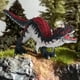 thumbnail image 1 of Figura de dinosaurio de pie, juego de roles de modelo de animales, colección de dinosaurios detallada realista para más de 3 años, regalo de, 1 of 8