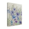 thumbnail image 2 of Trademark Fine Art 'A Splash of Flowers I' Canvas Art by Tim OToole, 2 of 4