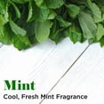 thumbnail image 4 of Groomer Essentials White Mint Brightening Shampoo - Gallon, 4 of 7