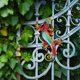 thumbnail image 4 of Mtal Gecko Dcoration Murale Extrieure Lzard Jardin Art Dcorations En Verre Suspendre Pour Patio Ou Clture, 4 of 5