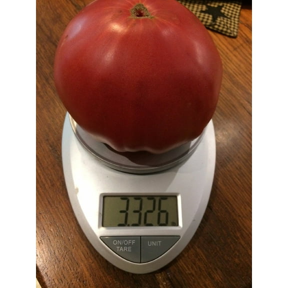 Sherwood's Seeds 10 Big Zac Heirloom Tomato Seeds