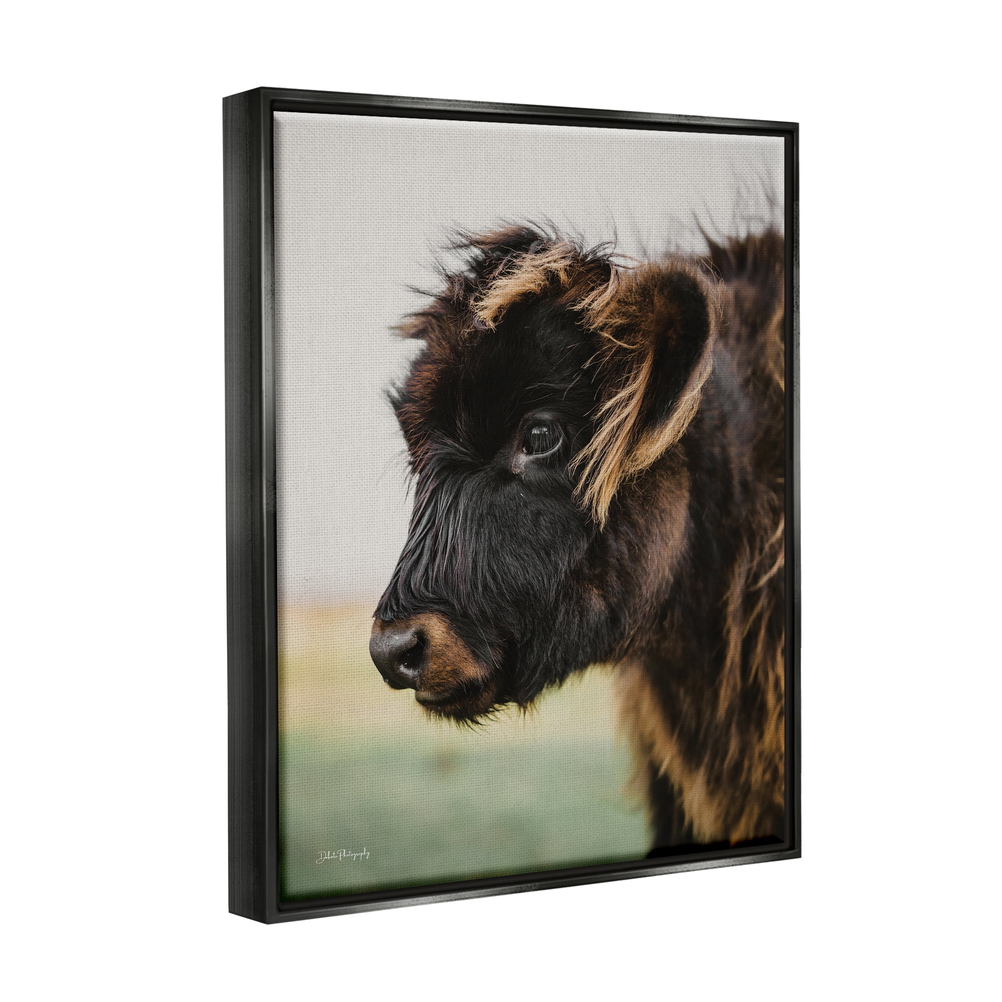 Stupell Industries Baby Cow Photography Animals & Insects Photography Black Floater Framed Art Print Wall Art, 17 x 21
