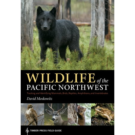 Wildlife of the Pacific Northwest - Paperback