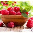 thumbnail image 5 of Set 2 Caroline Red Raspberry Plants Live, Sweet Raspberries Fruit Seedlings, Size 5-8 Inch Tall for Planting, 5 of 8