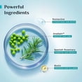 thumbnail image 3 of Pilgrim RootActive™ Anti-Hairfall Serum With Spanish Rosemary, 30ml, 3 of 4
