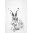 thumbnail image 2 of Fay, Mela 11x14 White Modern Wood Framed Museum Art Print Titled - White Bunny I, 2 of 4