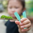 thumbnail image 3 of 20Pcs Fine Motor Skill Toys Handy Insects Tweezers Children Plastic Tweezers, 3 of 8