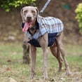 thumbnail image 5 of Duuclume Dog Plaid Coat,Reversible Dog Coat Pet Cold Weather Winter Outdoor Jackets (Blue/L), 5 of 6