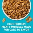 thumbnail image 4 of Purina ONE Tender Selects Blend With Real Salmon Digestive Care Natural Dry Cat Food, 7 lb, 4 Pack, 4 of 13