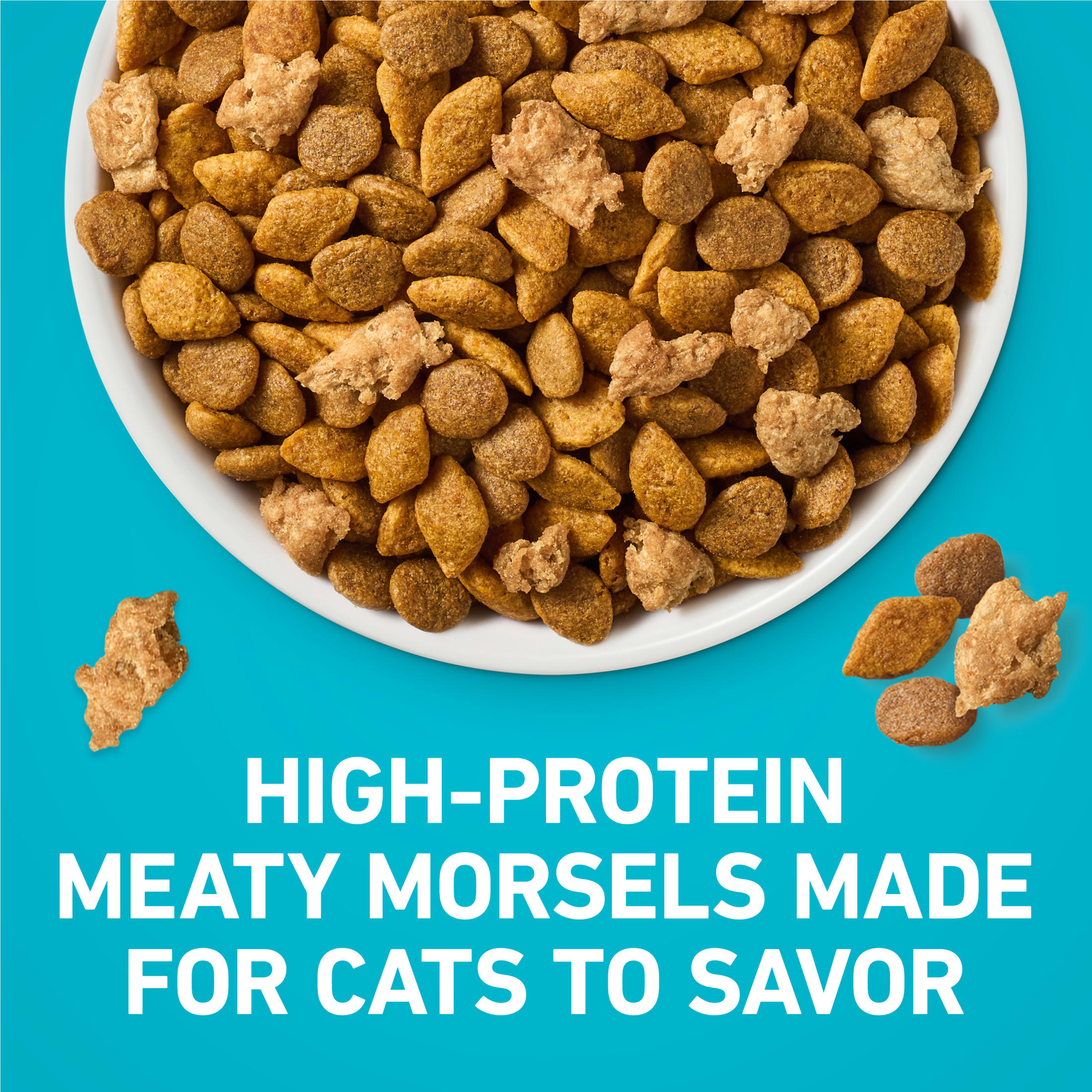 Purina ONE Tender Selects Blend With Real Salmon Digestive Care Dry Cat Food, 7 lb photo 3