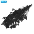 thumbnail image 3 of Uxcell 10-12 Inch Turkey Feathers, 1 Set Fluffy Bulk Natural Feathers for Crafts, Black, 3 of 5