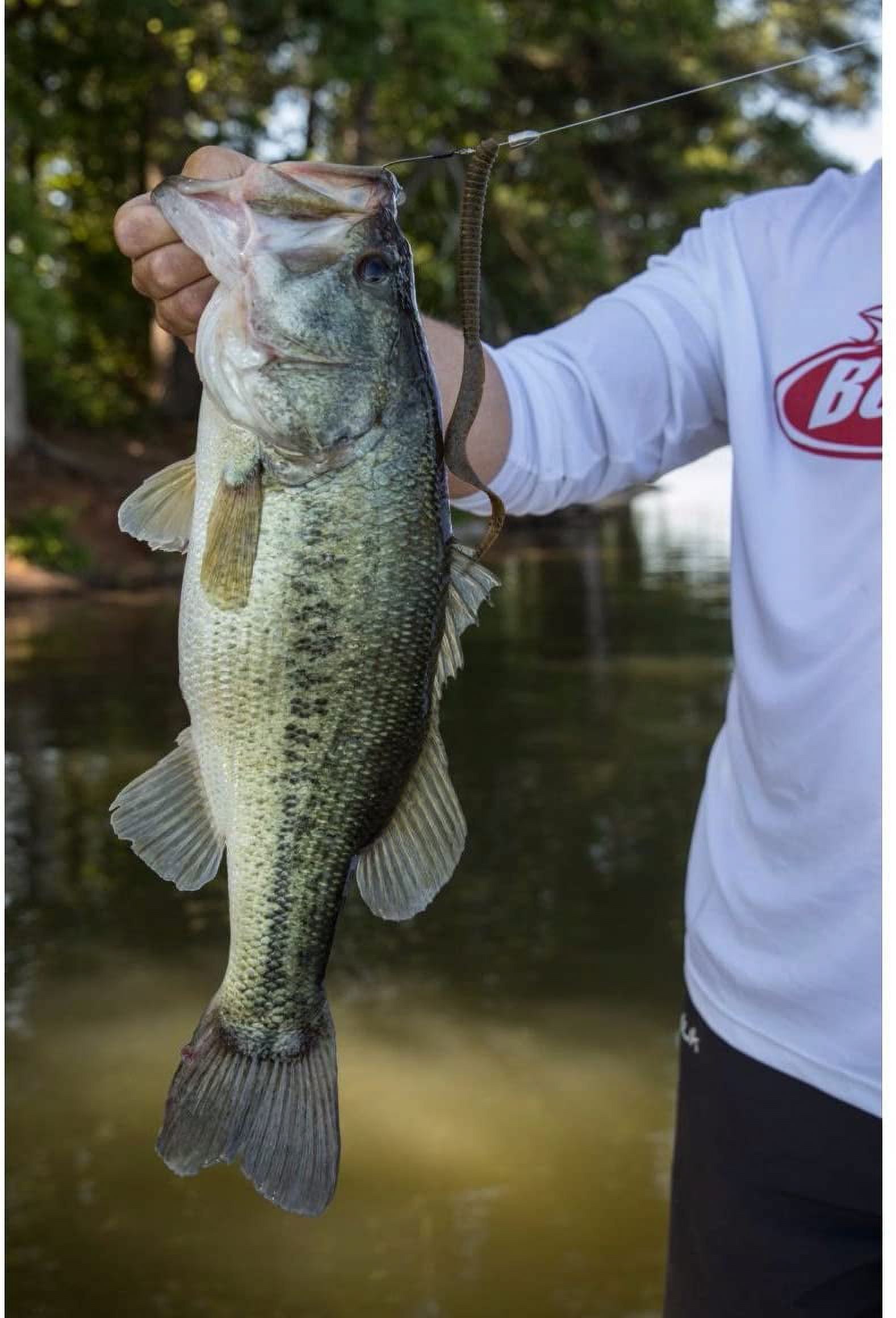 Berkley PowerBait® MaxScent Kingtail Worm Bait