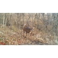 thumbnail image 4 of Wildgame Innovations Kicker Lightsout 18MP Trail Camera and Trail Pad Image Viewer Combo, 4 of 6