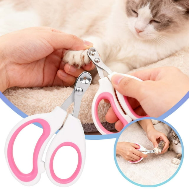 Coupe-ongles pour Chat avec Protège-Ongles et Angle pour une Coupe Précise et Facile à la Maison