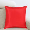 thumbnail image 5 of Eguiwyn Waterproof Pillows for Patio Couch Case Covers Vibrants Pillows Durable Decorative Outdoor Outdoor Throw Cushion Case Red, 5 of 5
