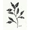 thumbnail image 2 of Tavoletti, Anne 20x24 White Modern Wood Framed Museum Art Print Titled - Botanical Sketches V, 2 of 4