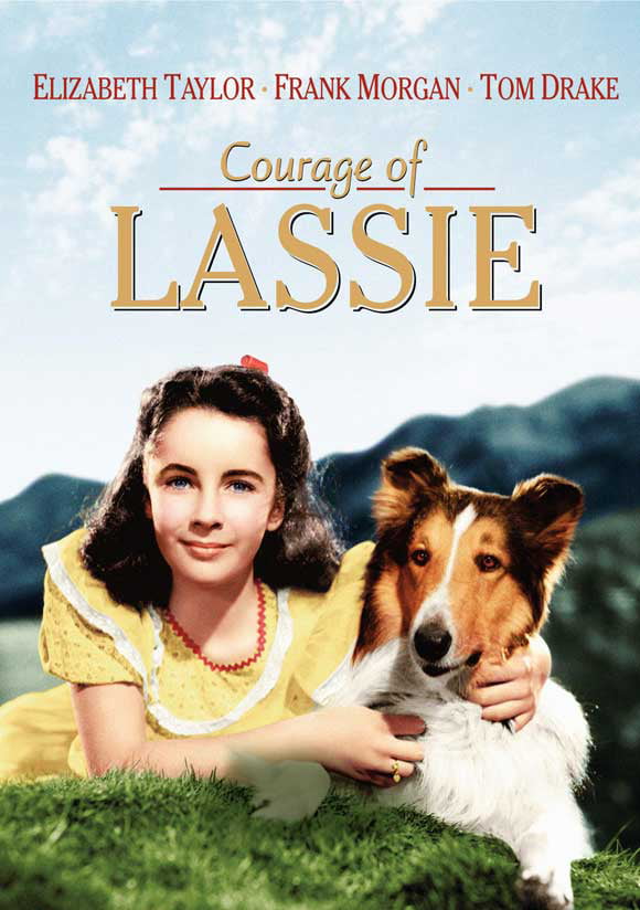 Lassie 11x17 Mini Poster color dog photo 