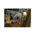 thumbnail image 3 of Horsez - PlayStation 2, 3 of 4