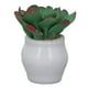 thumbnail image 3 of Accesorios para plantas de casa de muecas, plantas en macetas en miniatura estilo lindo decorativo vivo para manualidades ANGGREK DC2013, 3 of 8