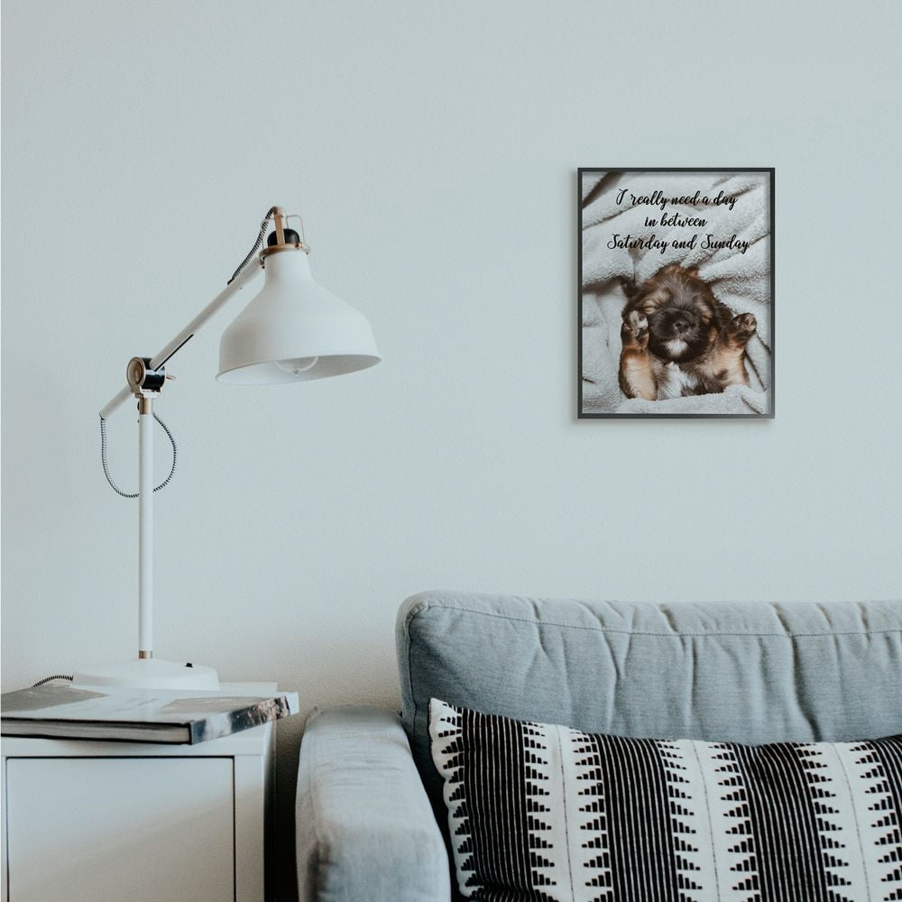 Stupell Industries Three Day Weekend Phrase Funny Puppy Pet Humor Framed Wall Art Design by Ziwei Li, 11" x 14", Black Framed