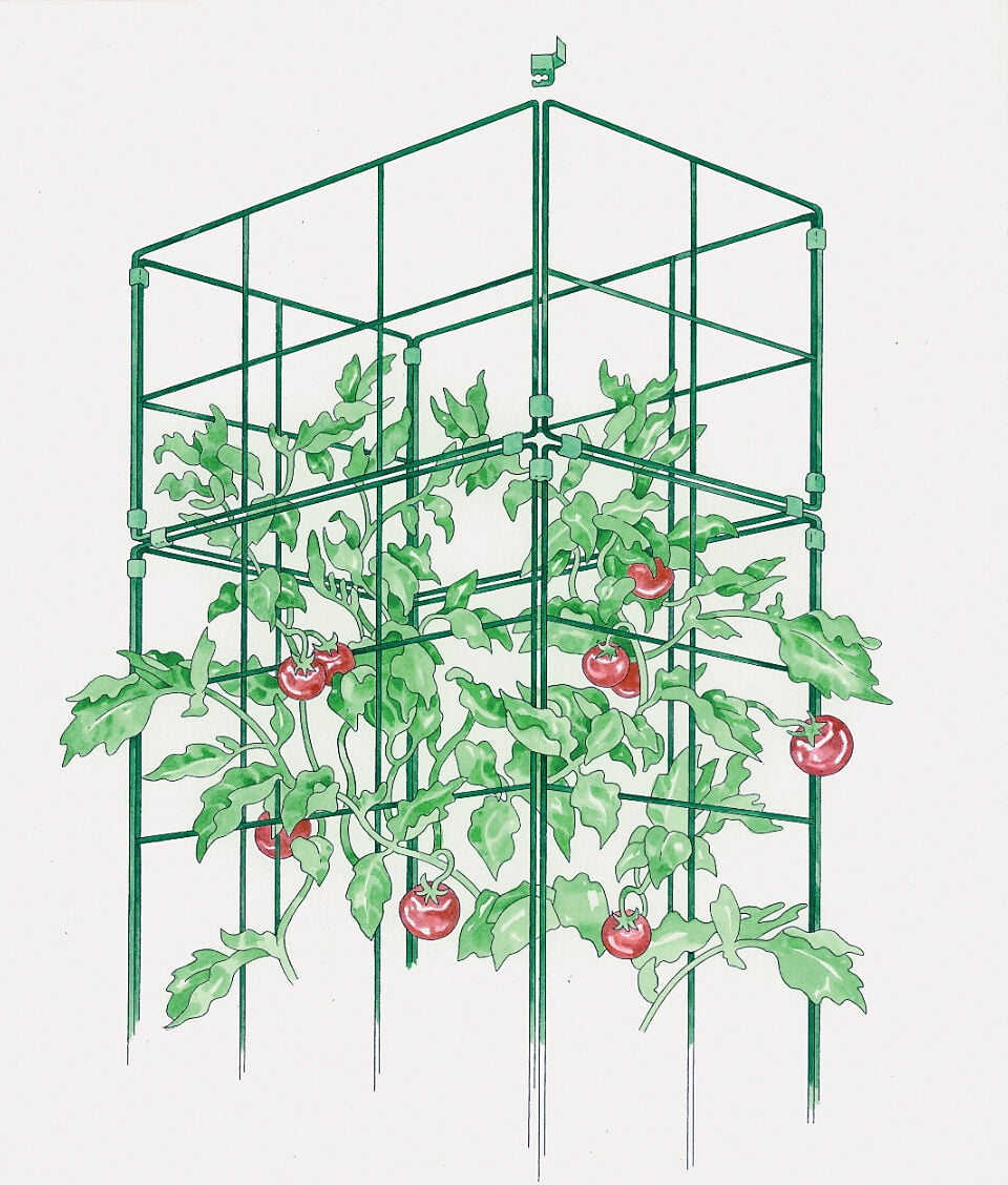 Cage Extension for Tomato Success Kit