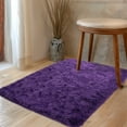 thumbnail image 6 of ZENELESS 2x3ft Fluffy Rug,Small Carpets,Small Soft Doormats for Doorways, Bedrooms, Kitchen, and Bathroom Entrances, 6 of 6