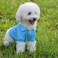 thumbnail image 2 of Farfi Pet Shirt Lapel Design Sweat-absorbent Solid Color Dog Two-legged T-shirt for Summer (Yellow,L), 2 of 13