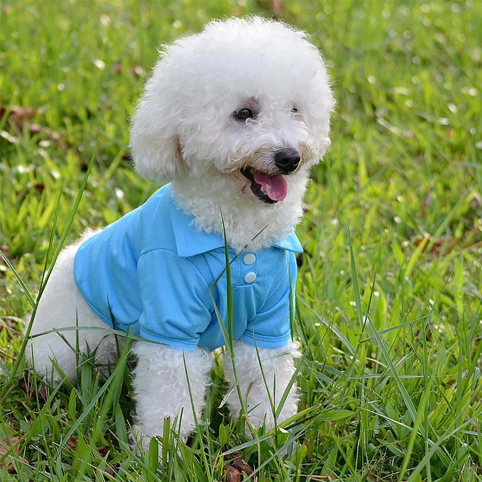 Blue dog shirt hot sale