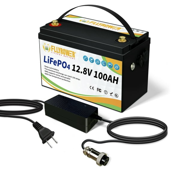 FLLYPOWER Batterie LiFePO4 Batteries au Lithium 12V 100Ah avec BMS 100A, Batterie au Lithium Fer Phosphate Rechargeable à Cycle Profond, pour Moteur Solaire, Marin et à la Traîne