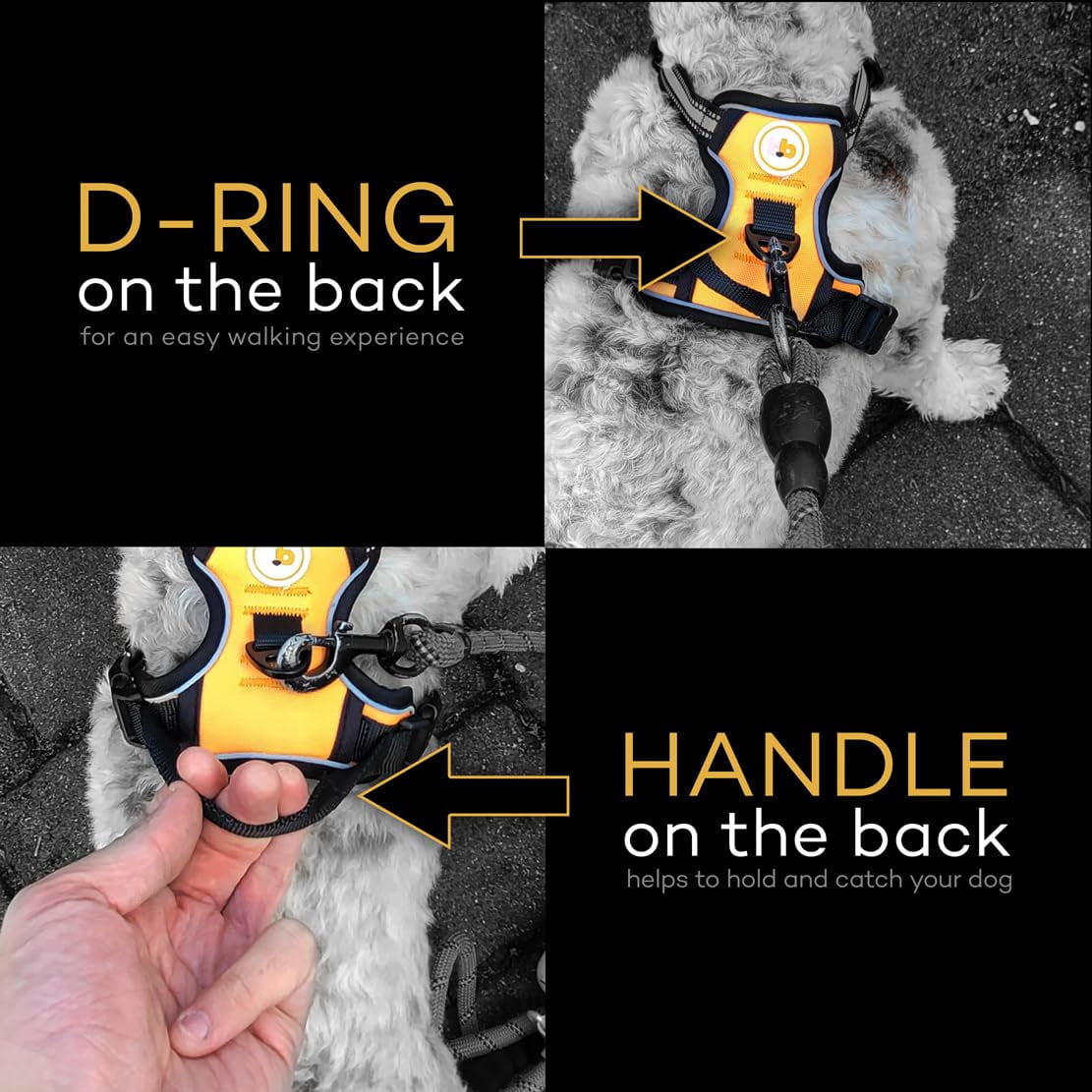 Buddy's Best Dog Harness, No-Pull Pet Harness with 2 Leash Clips, Adjustable Soft Padded Reflective Safety Pet Harness for No-Choke Pet Training (Orange, Medium)