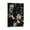 Frame-style, variant on Nick Foles Poster Wall Art Poster Gifts Bedroom Prints Home Decor Hanging Picture Canvas Painting Posters 12x18inch(30x45cm)