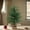 1.5FT - 1Pcs, variant on 1.5FT Norfolk Pine Tree for Christmas Decorations, Artificial Christmas Trees with White Pot, Fake Christmas Tree Xmas Decor for Office, Living Room, Apartment (1.5FT - 1Pcs)