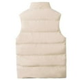 thumbnail image 3 of Men's Lightweight Packable Puffer Down Vest Sleeveless Quilted Jacket Coat, 3 of 5