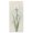 White Iris on Beige, variant on Stupell Industries Transitional White Iris on Beige Canvas Art, 10 x 24, by Sally Swatland