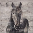 thumbnail image 2 of Atelier B Art Studio 15x15 White Modern Wood Framed Museum Art Print Titled - ABSTRACT HORSE WITH TYPOGRAPHY, 2 of 4