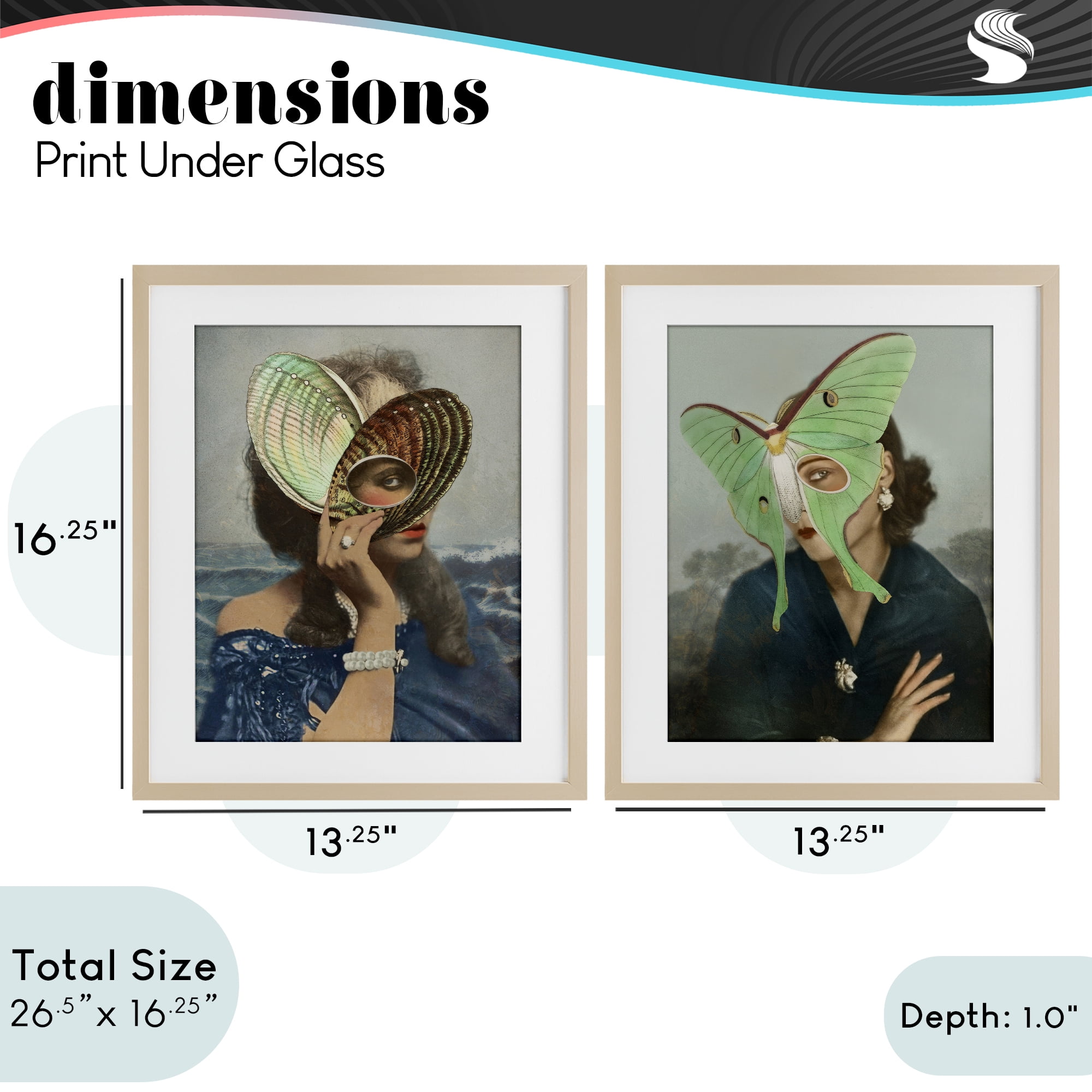 Stupell Industries Naturalist Women Portraits 2 Piece Birch Framed Print Under Glass Set, design by Victoria Barnes