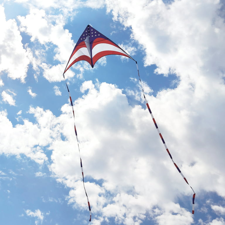 Mint's Colroful Life American Flag Delta Kite for Adults & Kids