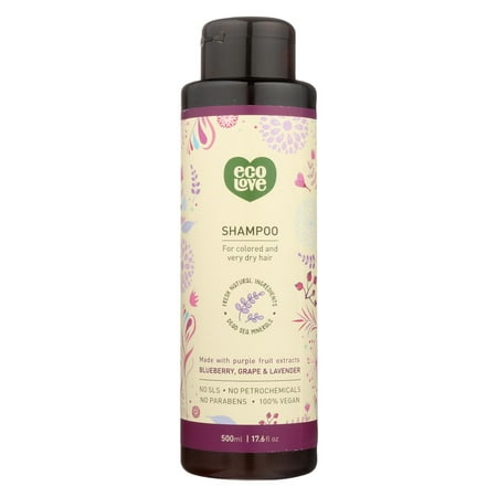 Ecolove Shampoo - Purple Fruit Shampoo For Colored And Very Dry Hair - Case Of 1 - 17.6 Fl (Best Shampoo For Dry And Colored Hair)