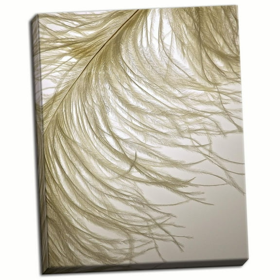 Gango Home Decor Contemporary Feather Close-Up III by Monika Burkhart (Ready to Hang); One 16x20in Hand-Stretched Canvas