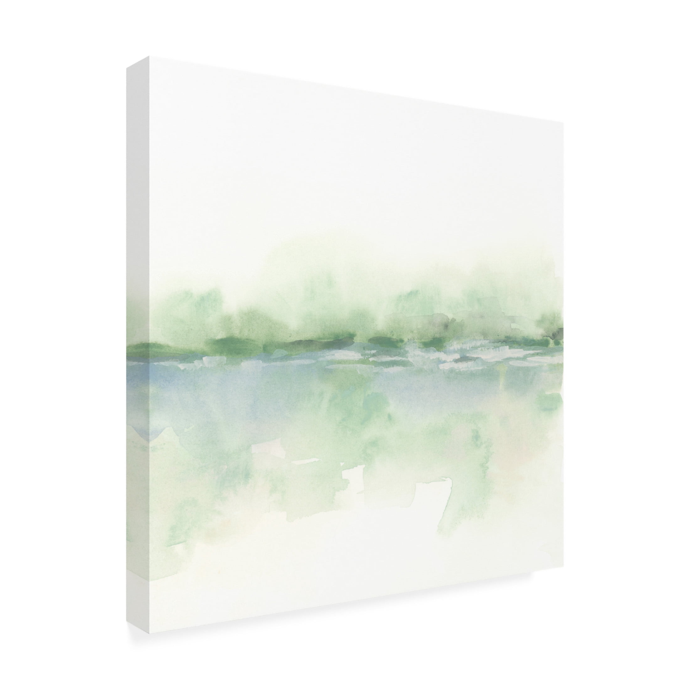 Trademark Fine Art June Erica Vess  Moss Mist I Canvas Wall Art