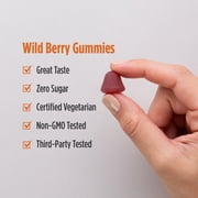 Nordic Naturals Zero Sugar Vitamin D3 Gummies, 1000 IU, Non-GMO, 60 Ct