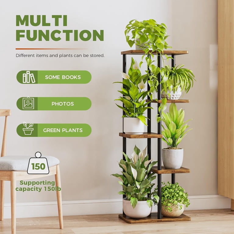 money tree Custom Gift Delivery | Personalized Money Tree