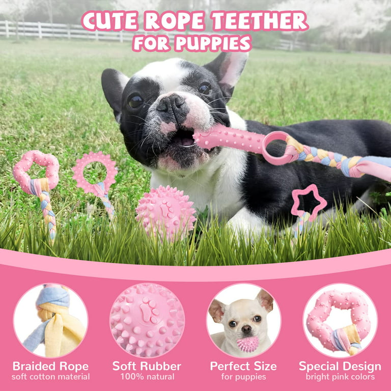 ABRRLO Puppy Toys,6 Pack Puppy Chew Toys For Teething Small Breed,Cute Pink  Small Dog Chew Toys,Soft Rubber Durable Dog Teething Toys,Puppy Teething