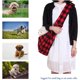 thumbnail image 4 of Portador de eslinga para perros, bolsa de pecho ajustable de malla perfecta con manos libres para mascotas y gatos a prueba de escape para cachorros y perros medianos (rojo), 4 of 5