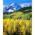 thumbnail image 2 of Talbot Frank, Christopher 26x30 White Modern Wood Framed Museum Art Print Titled - Colorado, Rocky Mountains, Autumn in the Rockies, 2 of 4
