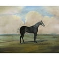 thumbnail image 3 of McCavitt, Naomi 18x15 Black Modern Framed Museum Art Print Titled - The Kicker- A Steel Grey Racehorse, 3 of 5